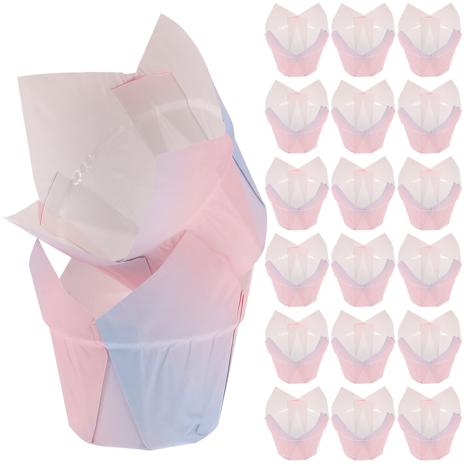 50Pcs Tulip Cupcake Liners Pap - Plastic Cup 50Pcs review and price